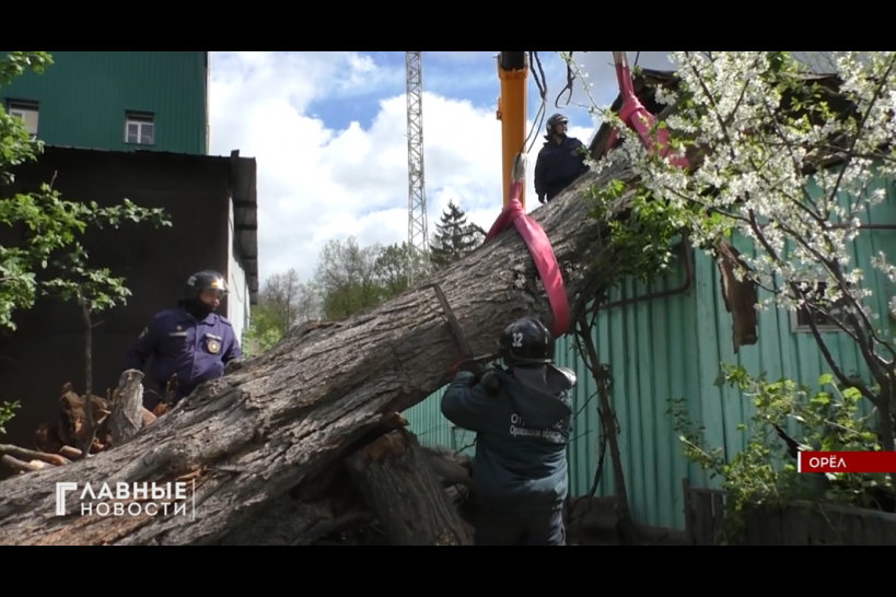 Рухнувшее на крышу дерево отрезало орловчанину вход в жилище 