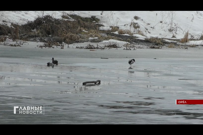 Готовность к паводку обсудили орловские спасатели