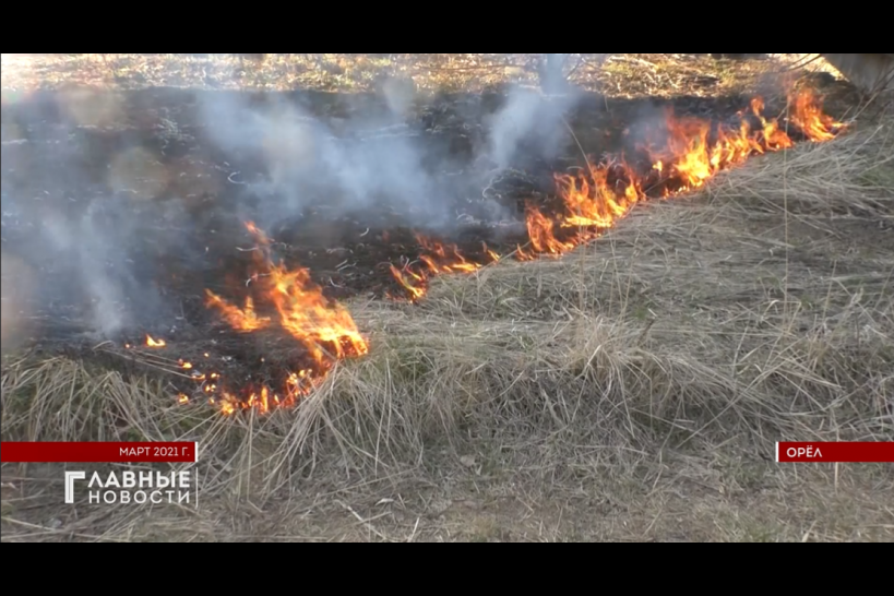 Летние пожары начинаются зимой. В правительстве Орловской области обсудили лесопожарную обстановку