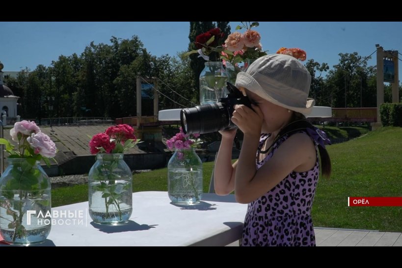 Более 150 сортов роз в один день "расцвели" в Детском парке Орла
