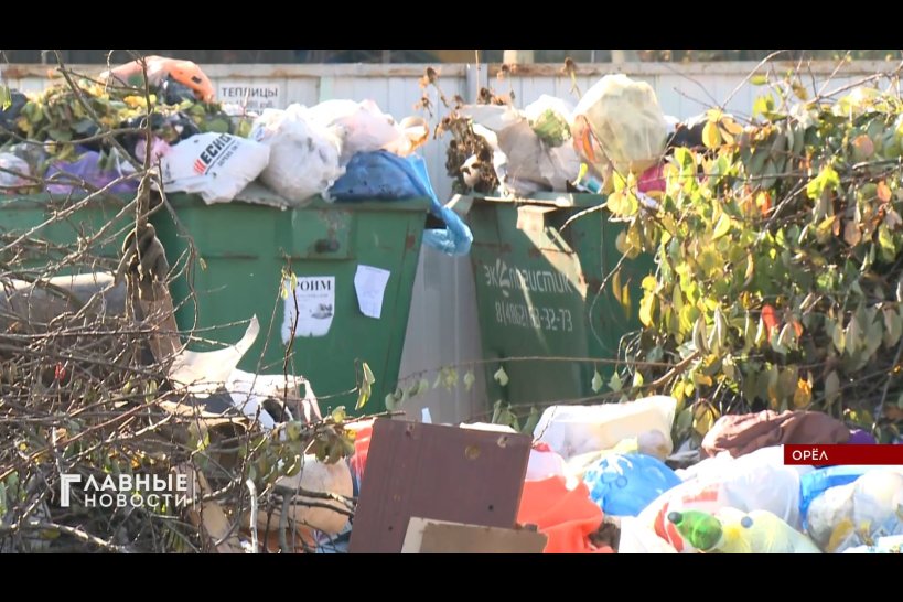 На заседании комитета горсовета Орла обсуждали проблемы вывоза мусора