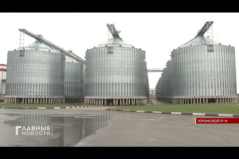 Компания «Мираторг» объявила об увеличении объёма импортозамещающего производства семян