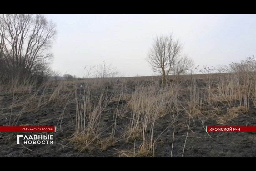 В Орловской области произошел трагический случай при сжигании сухой травы