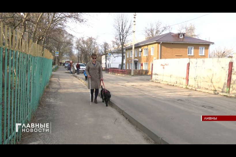 "Глаза" для слепых - в Ливнах открылся клуб владельцев собак-поводырей