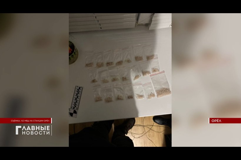 Транспортные полицейские станции Орёл обезвредили наркосбытчика