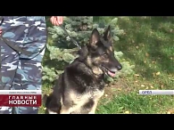 Орловская полиция отдаёт "в добрые руки" трёх служебных овчарок