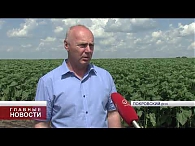Участники Аграрной недели провели полевую конференцию