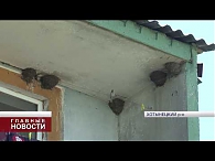Власти Хотынецкого района пытаются вернуть орловчанам круглосуточный доступ к воде