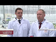 Новый тепличный комплекс начал работу в Новосильском районе