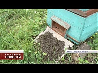 Орловский Следственный комитет возбудил уникальное уголовное дело