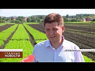 Сегодня на площадке Стрелецкого опытного участка прошла выездная конференция