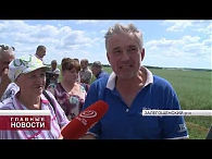 Массовая гибель пчёл произошла в Орловской области